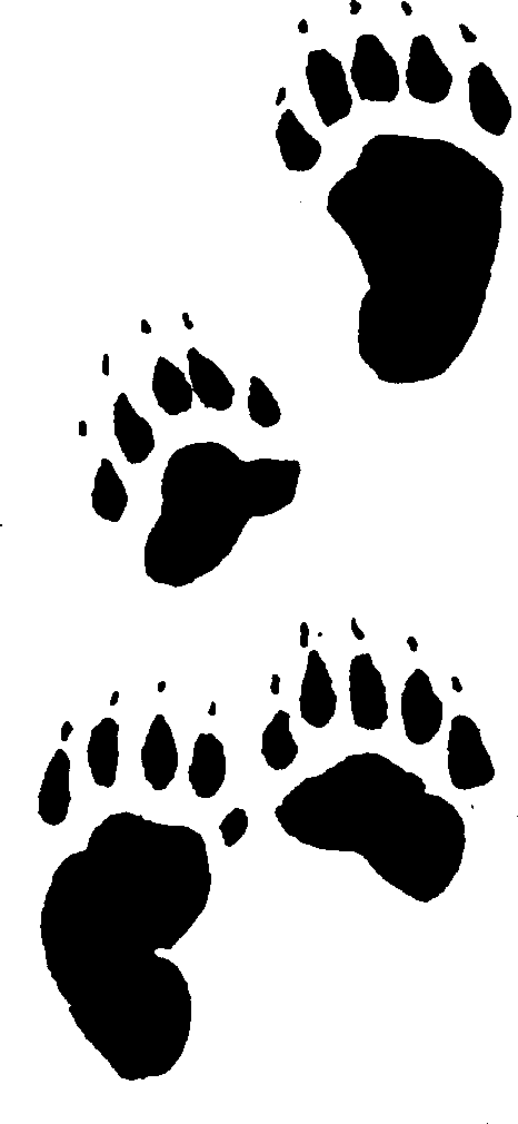Bear Prints - ClipArt Best