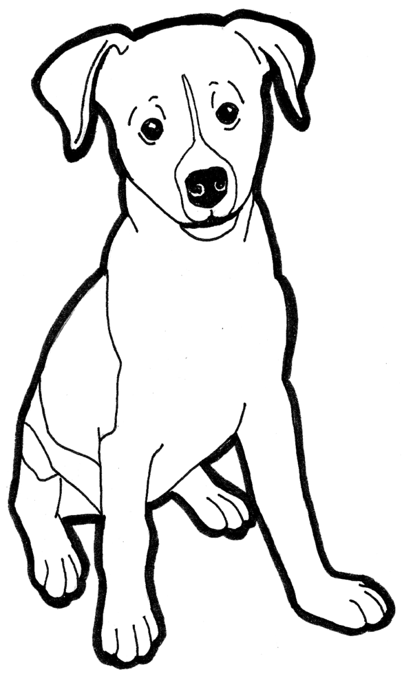 jack russell coloring pages - photo #21