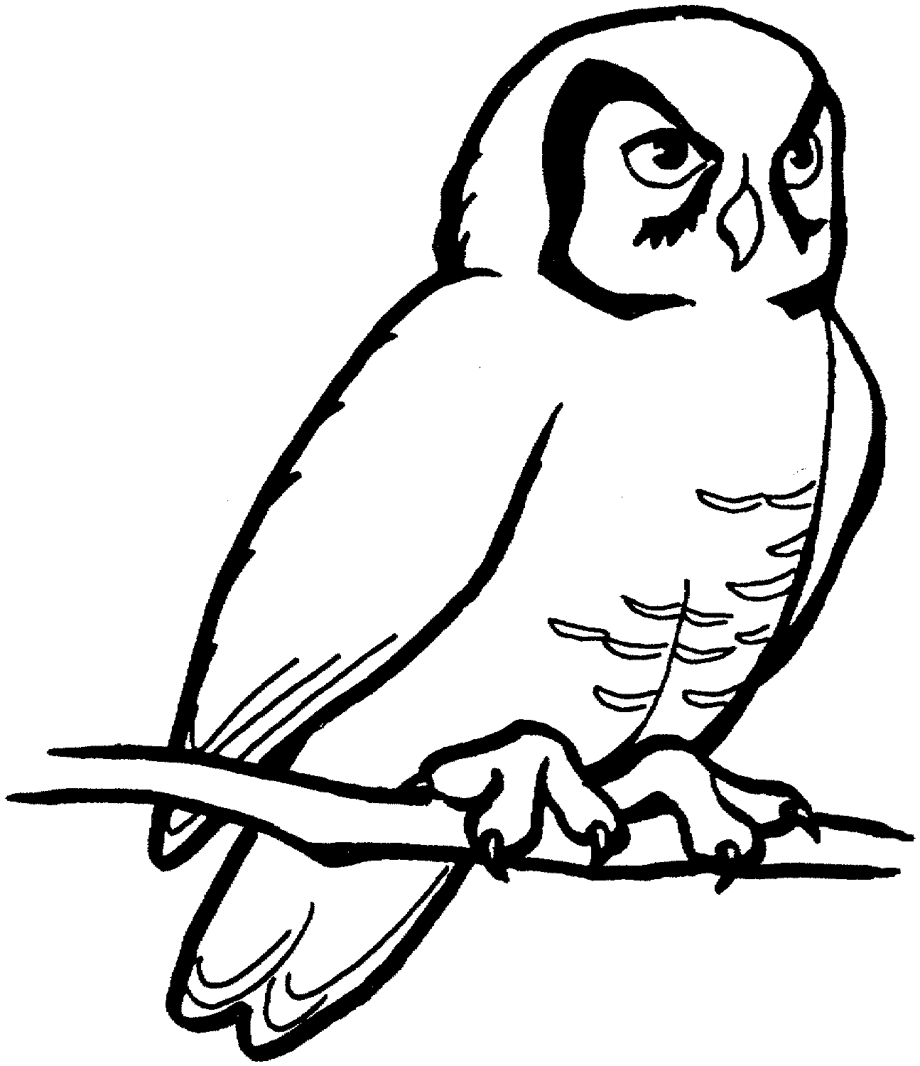 Cute Owl Clip Art Black And White