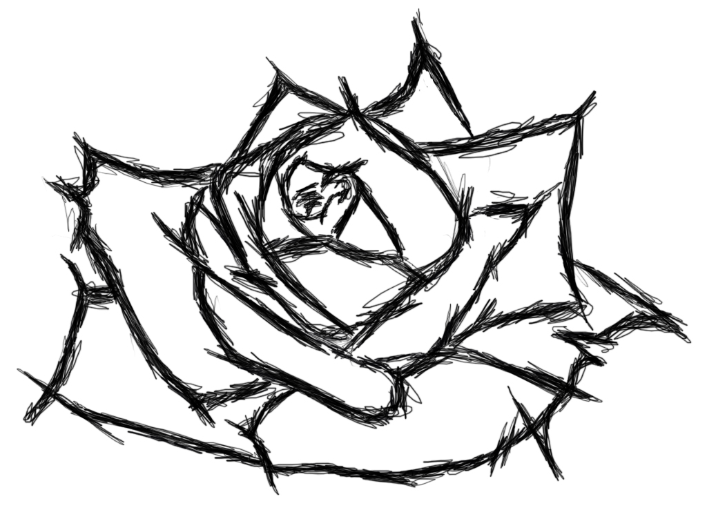Rose Drawings In Pencil Outline