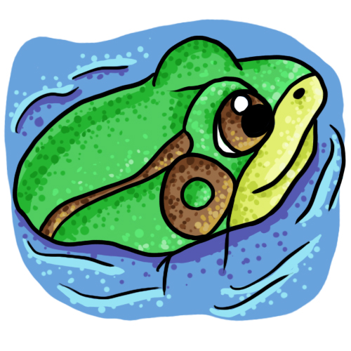 Two frogs clipart - Clipartix