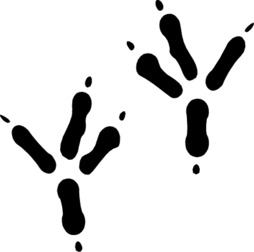 27+ Chicken Footprints Clip Art