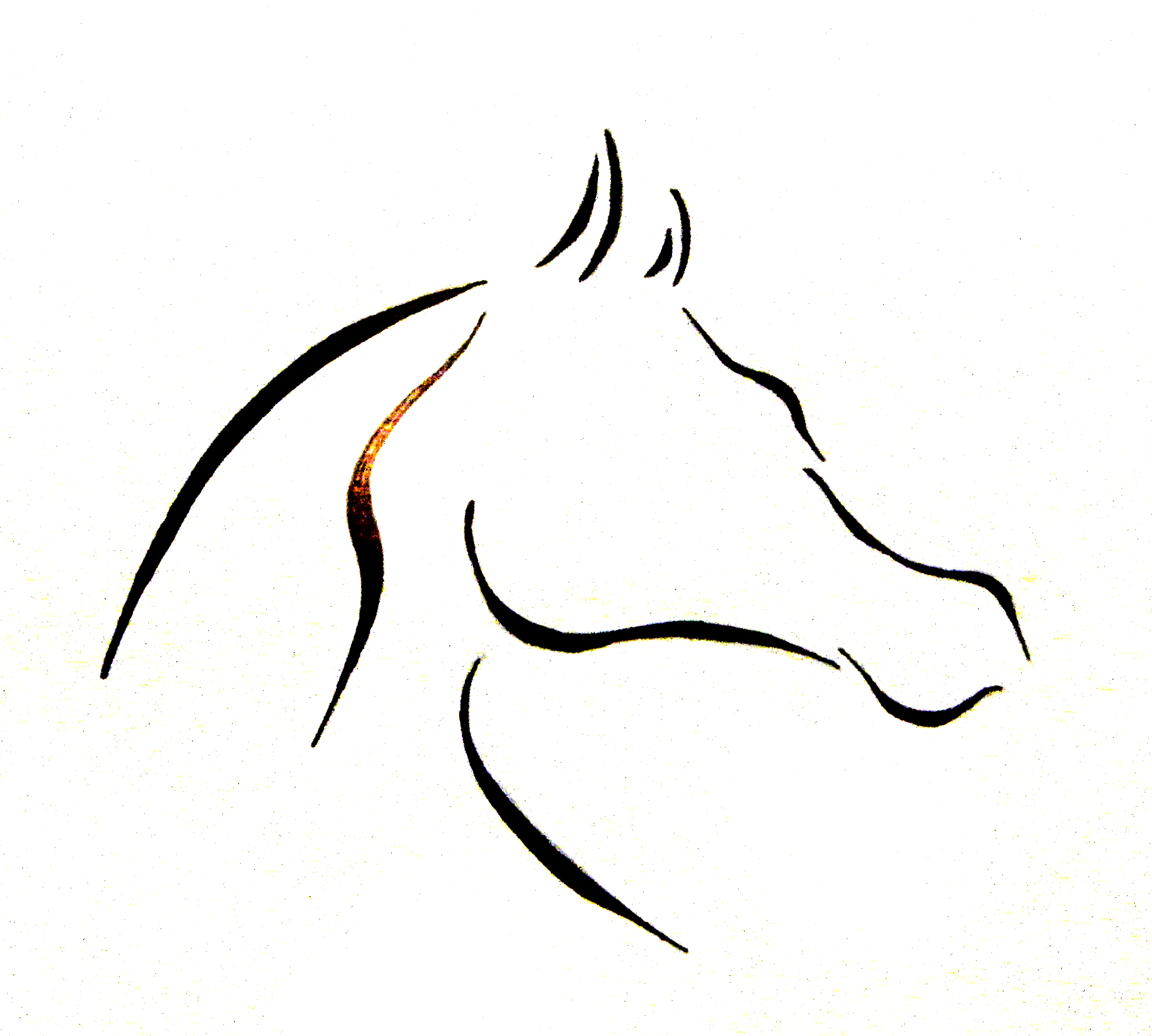 Horse Head Tattoo Graphic: Real Photo, Pictures, Images and ...