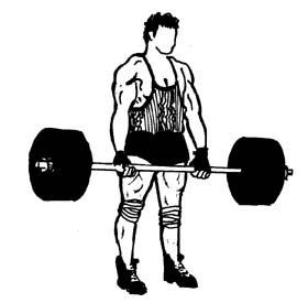 Clipart weight training