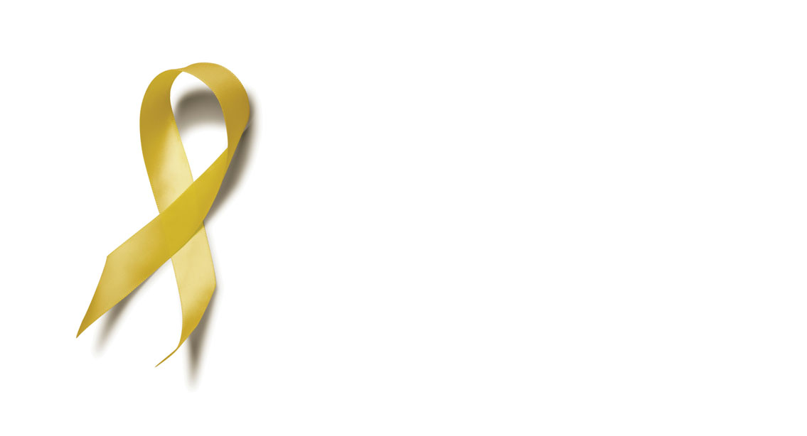 Yellow Ribbon Program — New GI Bill