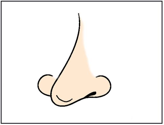 Nose cartoon clipart