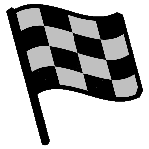 NASCAR Flags and Flag for NASCAR Drivers