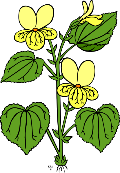 Floral Plant With Green Leaves Clip Art - vector clip ...