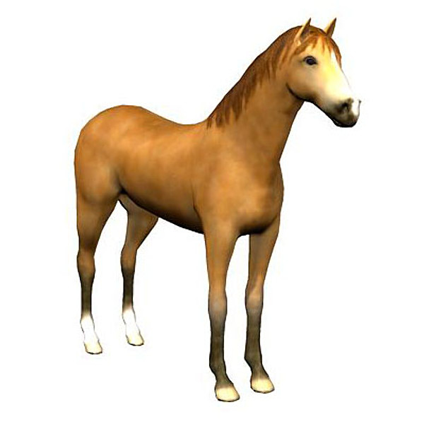 Moving Horse Animation 3d horse rigged animation walk