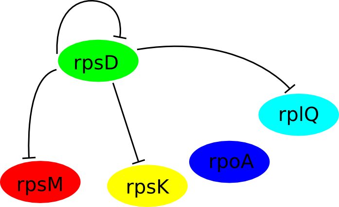 clipart network diagram - photo #32