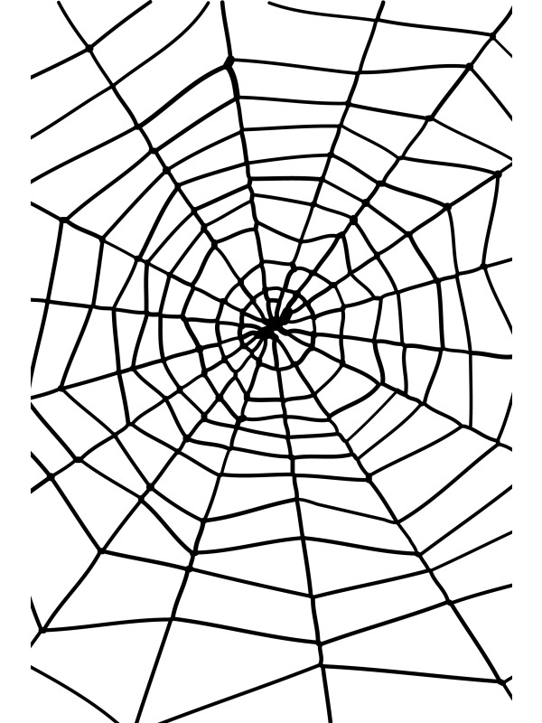 Cartoon Spider Web