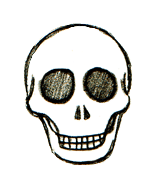 How to Draw Skulls: Easy Step-by-Step Instructions for Drawing ...