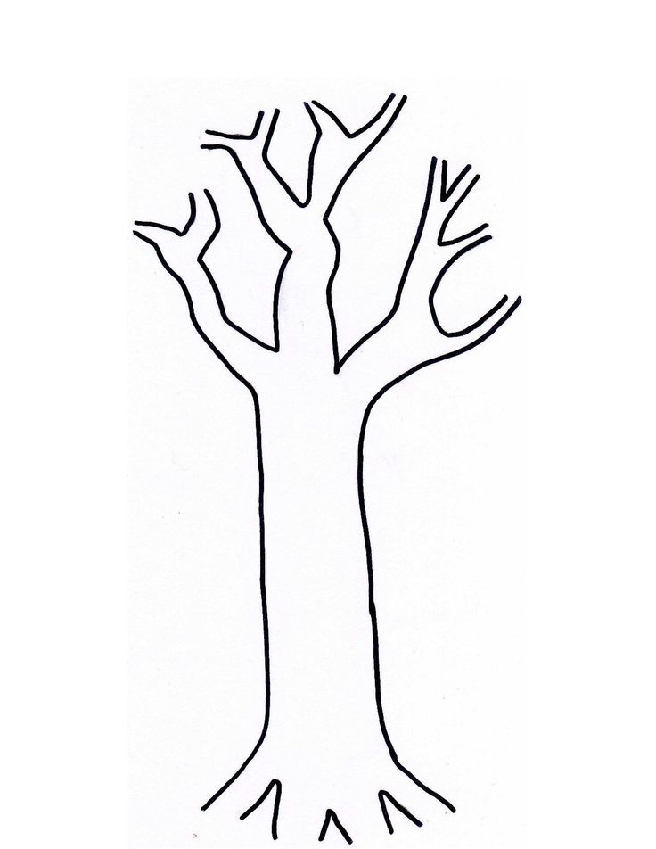Tree trunk clipart outline