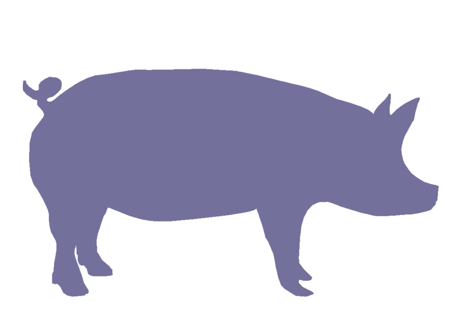 Show Pig Silhouette - ClipArt Best