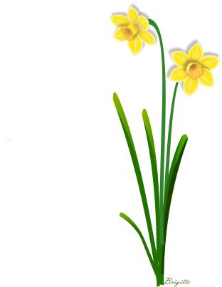 Daffodil Clipart