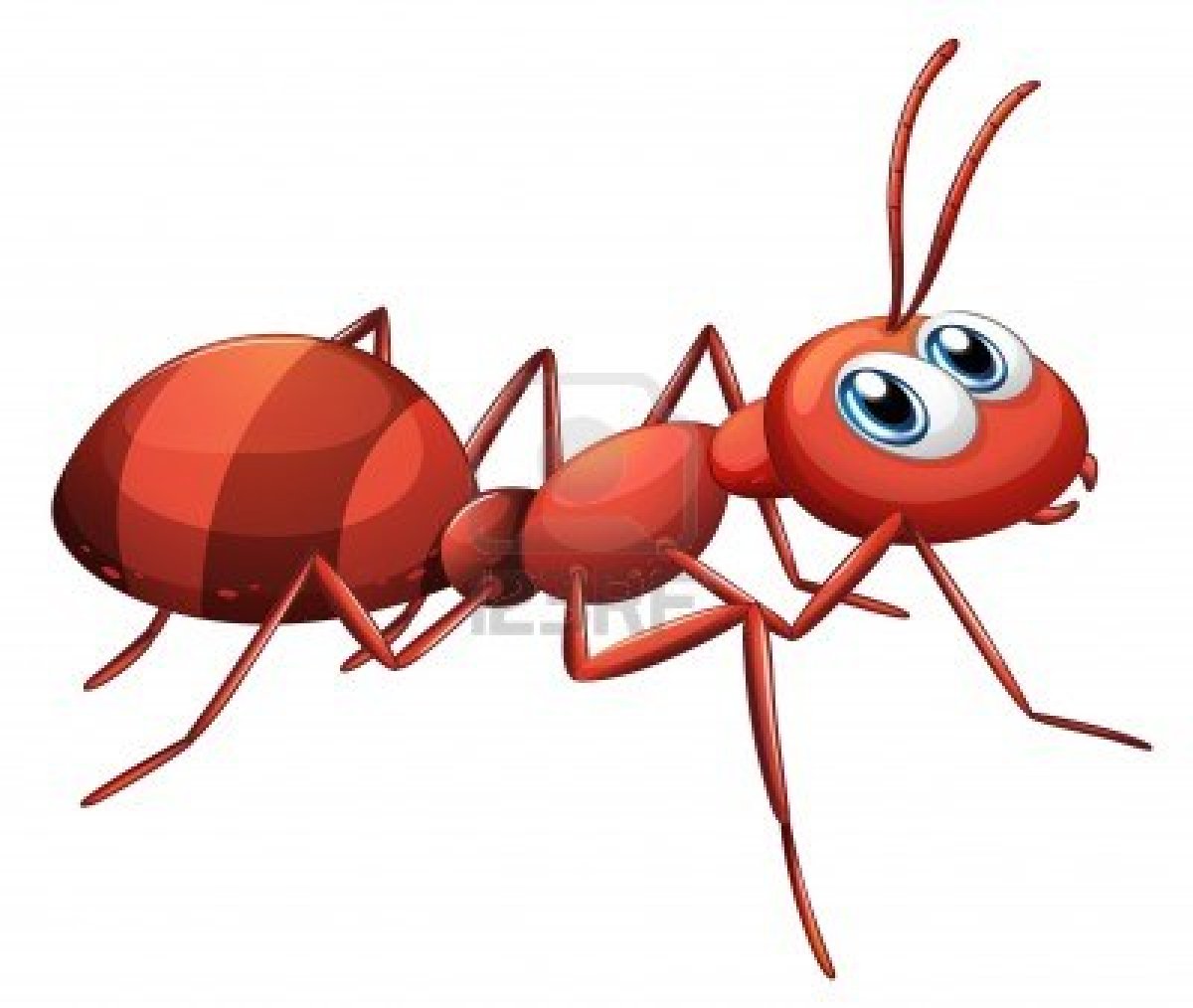 Cartoon Ant Clipart