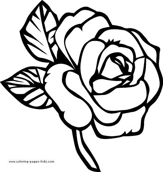 Simple Cool Flower Coloring Pages - Pipress.net