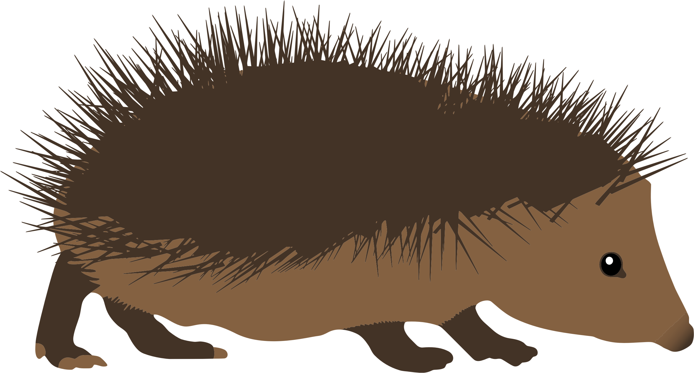 hedgehog clipart outline - photo #29