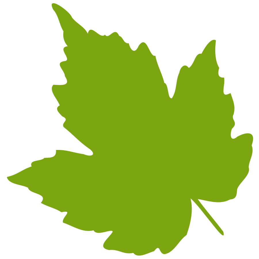 Green Maple Leaf Clipart - Free Clipart Images