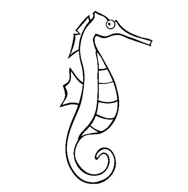 A Lineart Drawing of Seahorse Coloring Page | Kids Play Color