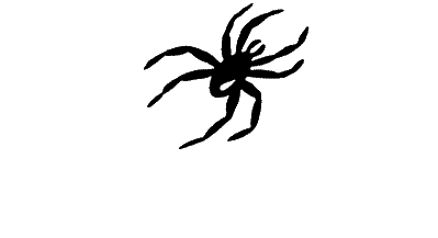 spider_animated2.gif