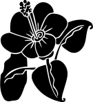 783 views Image Search Results