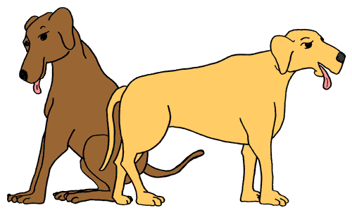 free clipart of a dog - photo #47