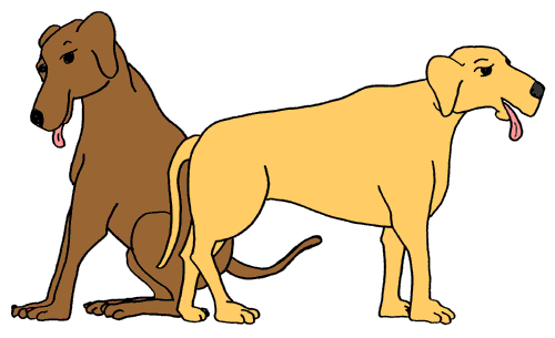 free clipart feed dog - photo #47