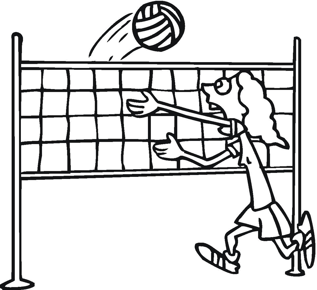 Volleyball ball and net clipart