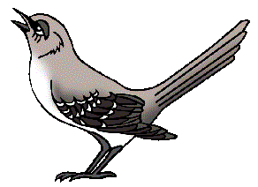 Mockingbird Clipart - Free Clipart Images