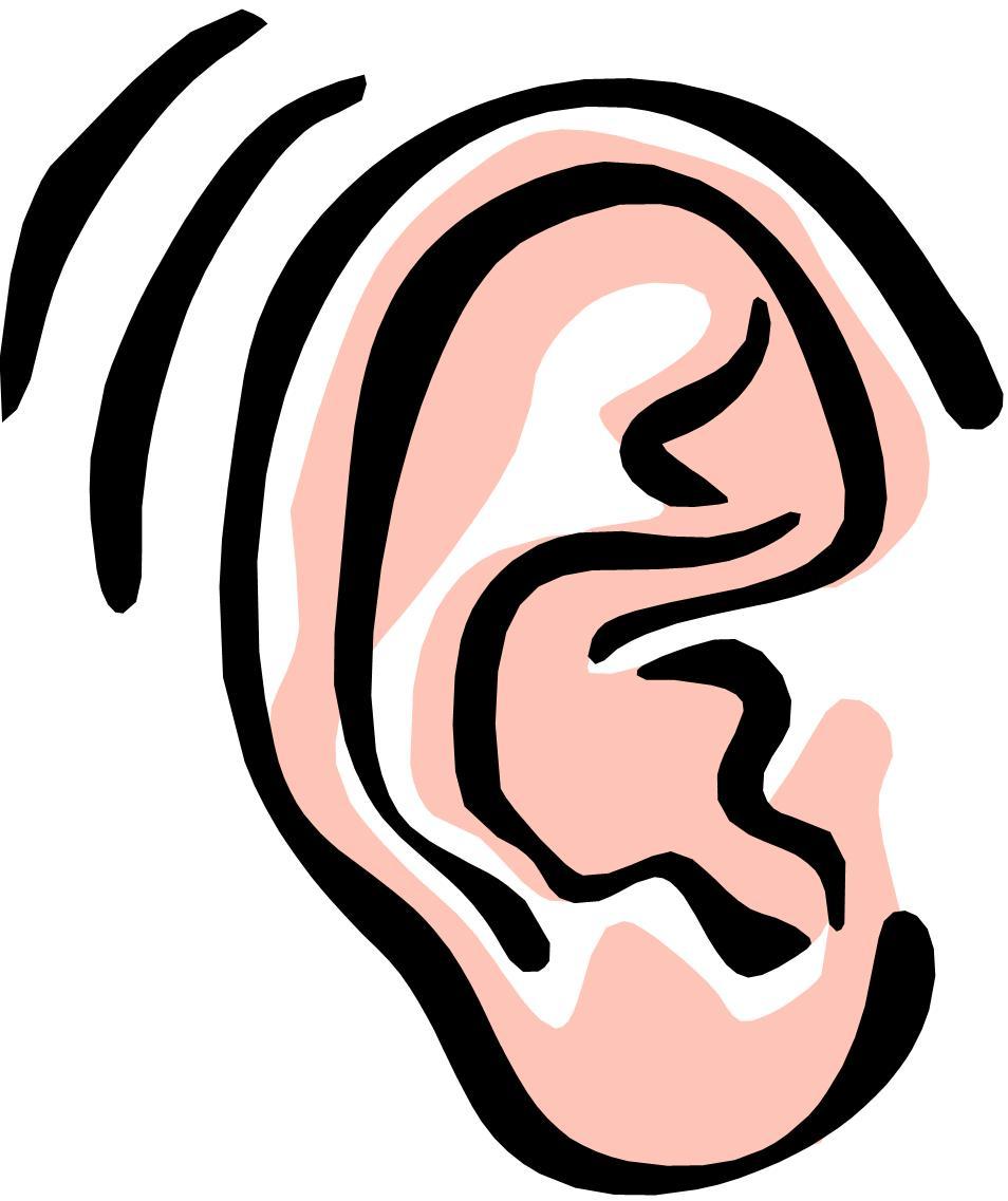 29+ Ear Diagram Clip Art