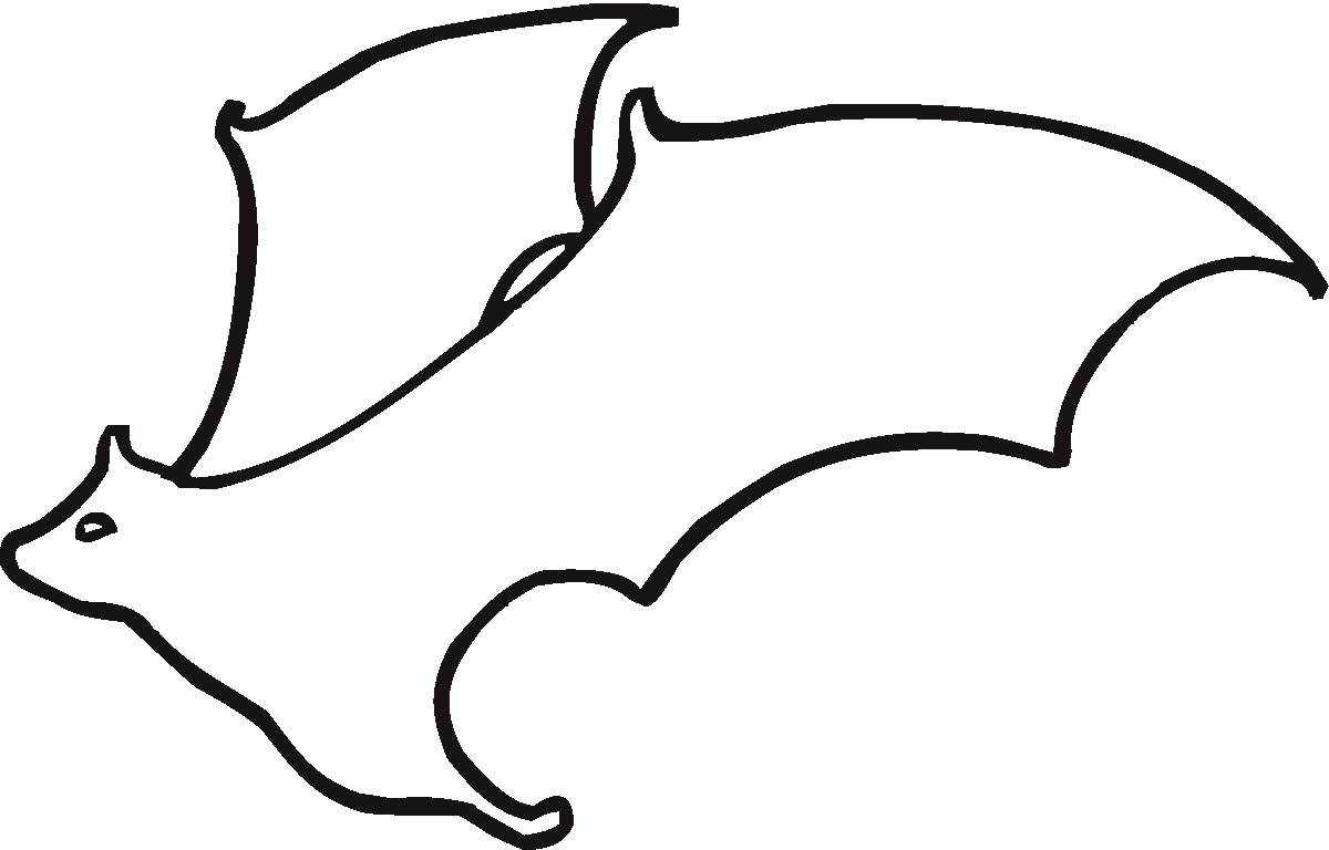 Simple outline drawing of a bat clipart