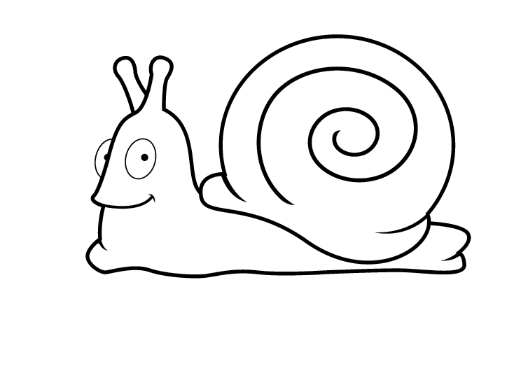 Snail Black And White Clipart