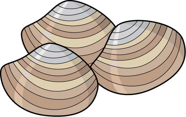 Clams Clipart | Free Download Clip Art | Free Clip Art | on ...