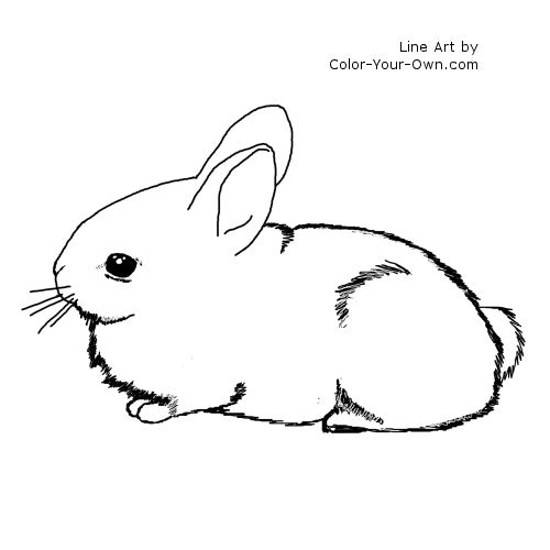 Bunny Coloring Page #26762