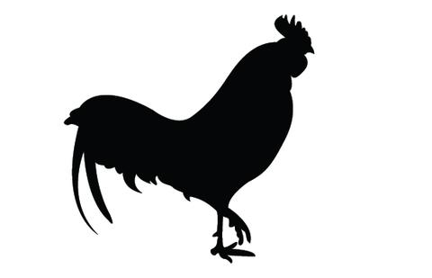 Rooster silhouette vectors – Silhouettes Vector