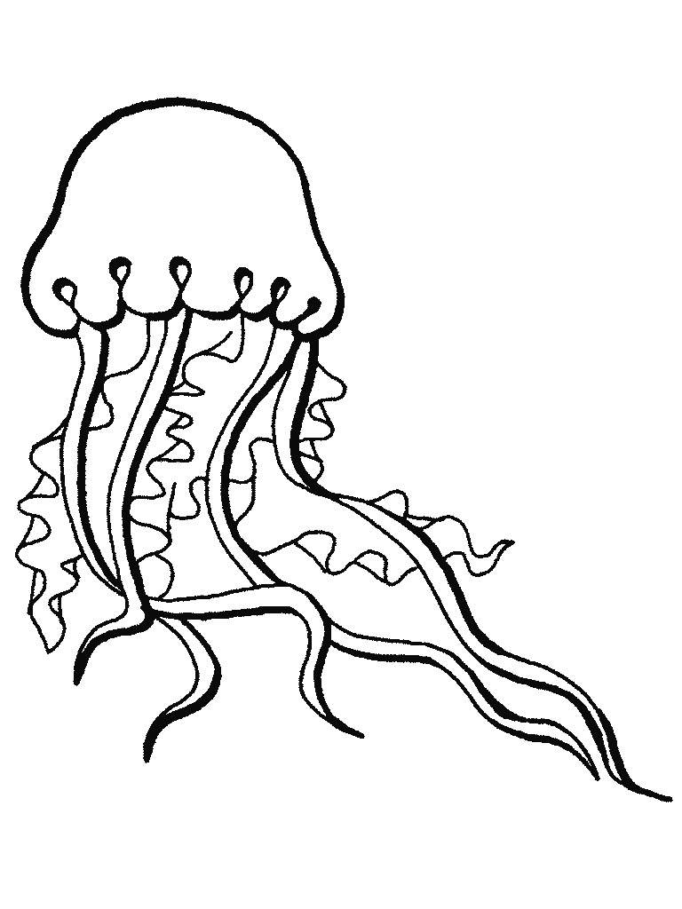 Octopus Ocean Animal Coloring Pages