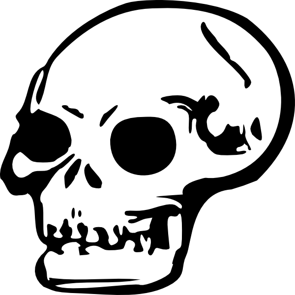 Human Skull clip art Free Vector