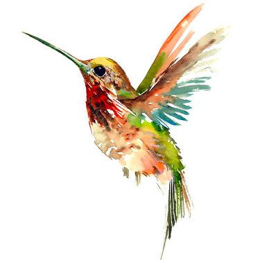 how to paint a hummingbird clipart best how to paint a hummingbird clipart best