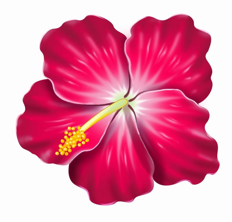 Hibiscus Flower Clipart - Tumundografico