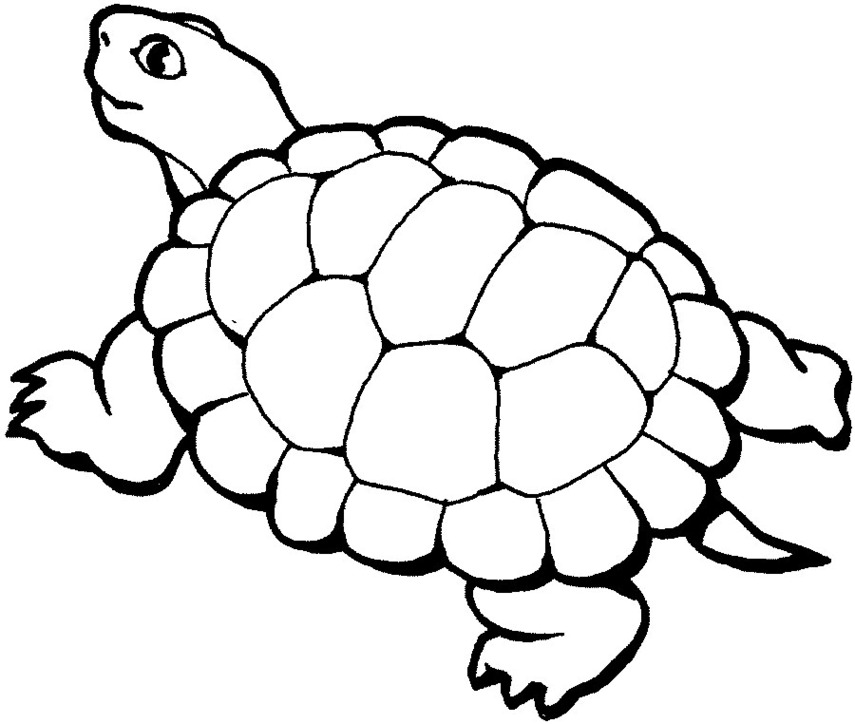 Swimming turtle clipart black and white