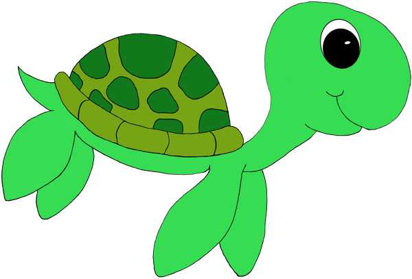 Cartoon Sea Turtle Clipart