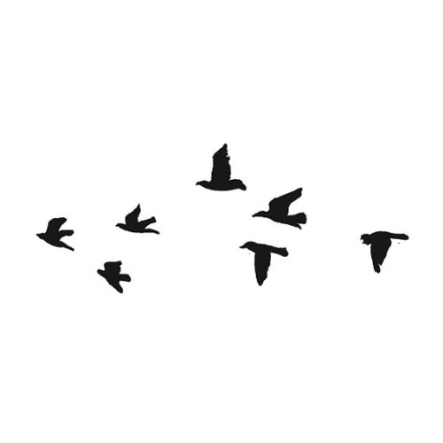 Amazon.com : Tattify Birds Temporary Tattoo - Flock Yeah (Set of 2 ...