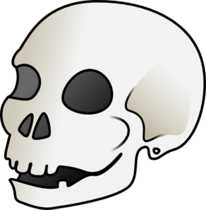 1000+ images about skulls | Plugs, Cartoon and Candy ...