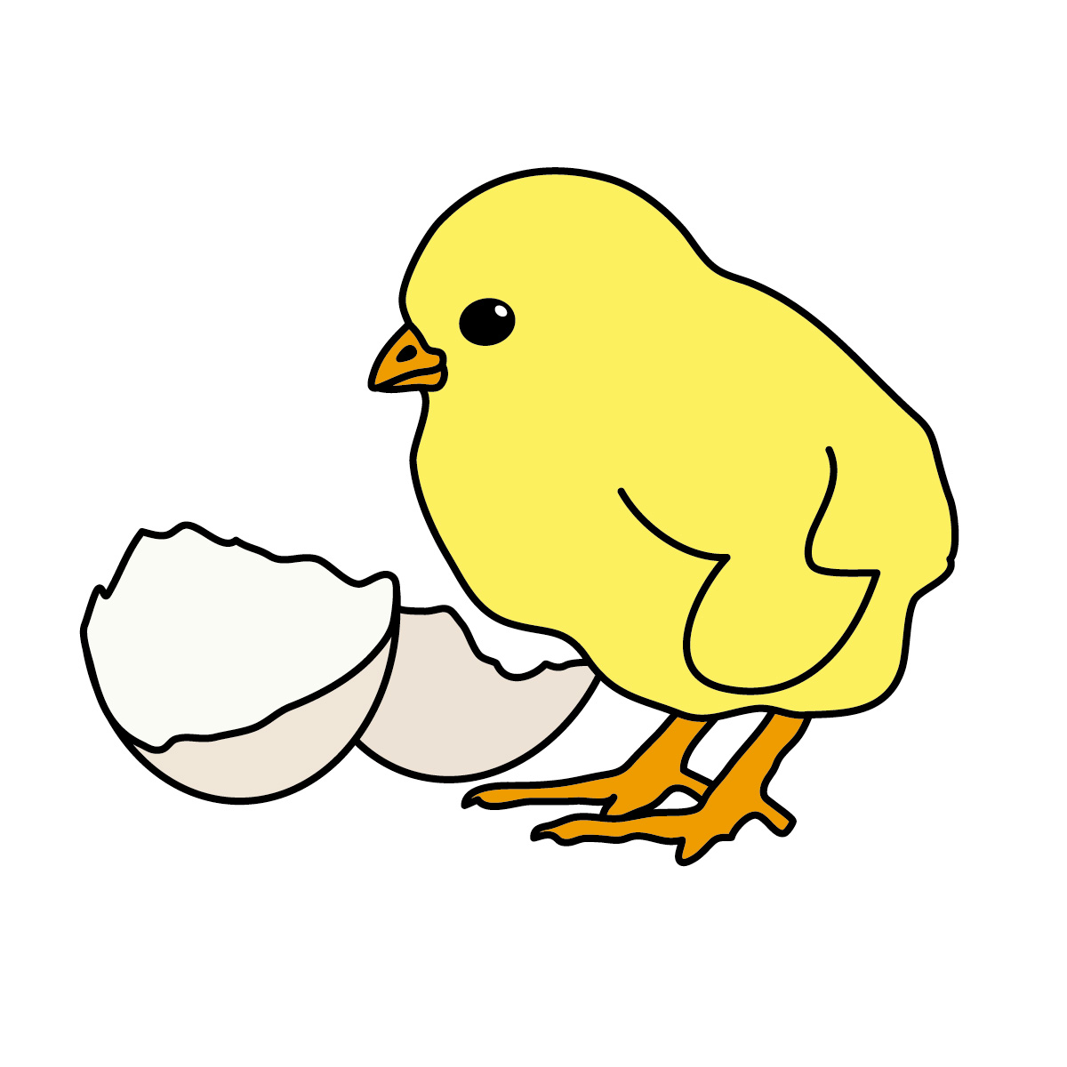 yellow chicken clip art - photo #10