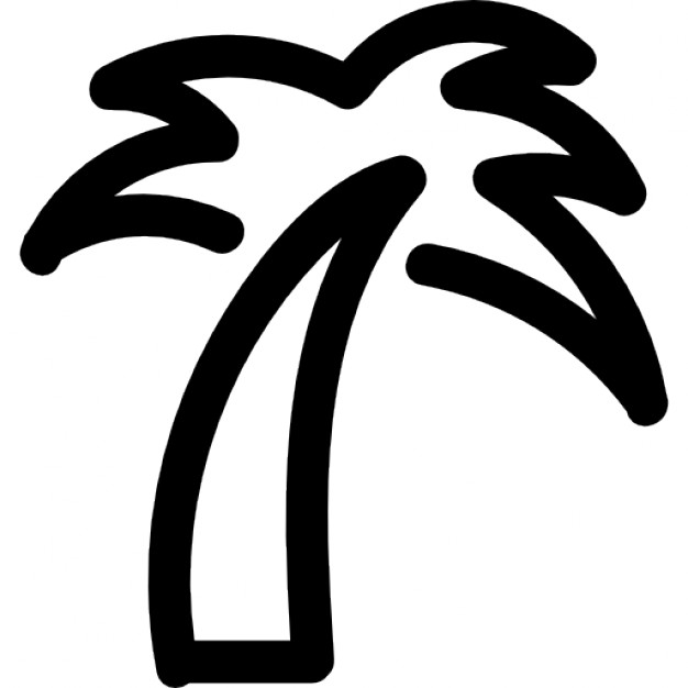 Outline of a Palm Tree Photo | Free Download