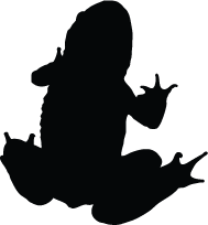 Frog Silhouettes | Silhouettes of Frog Free