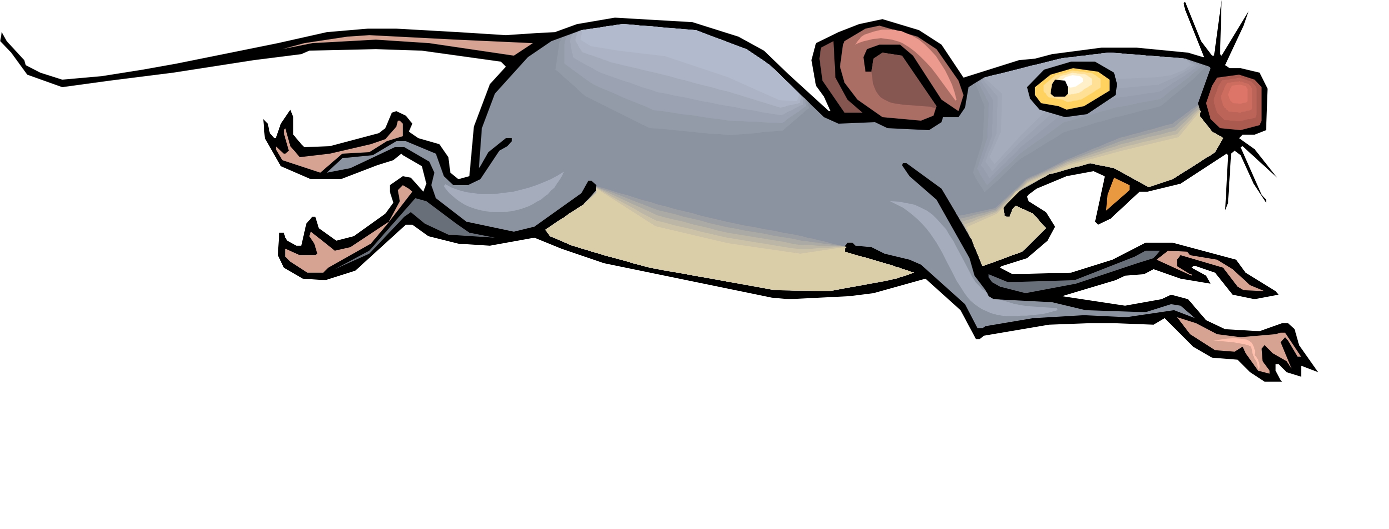 funny rat clipart - photo #37