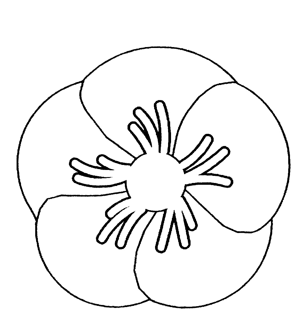 Poppy | ClipArt ETC · Poppy Drawings · Poppy Clip Art · Remembrance Day ...