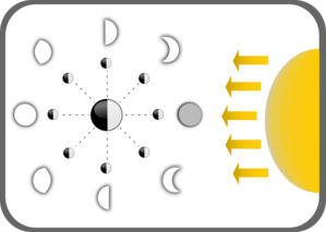 diagram-of-moon-phases-md.png